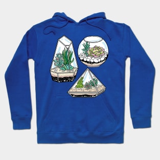 Beautiful Succulent Terrarium Hoodie